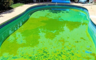 Comment rattraper une eau verte piscine rapidement : solutions efficaces en 48h