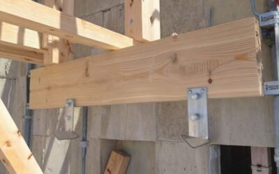 Muralière : guide complet pour votre charpente