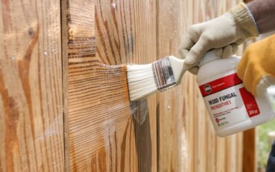 Traiter le bois contre les champignons : quelles solutions ?