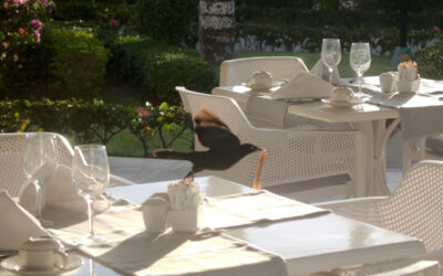 Comment choisir une marquise pour sa terrasse ?
