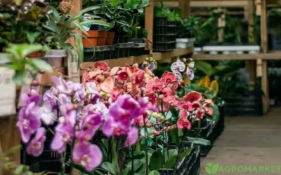 Du balcon au verger, tout commence par les bonnes plantes